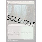 汚れた森/Tainted Wood《英語》【DSC】