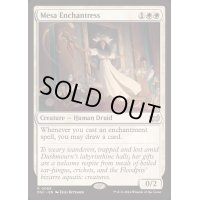 [EX+]メサの女魔術師/Mesa Enchantress《英語》【DSC】