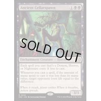 [EX+]古の館底種/Ancient Cellarspawn《英語》【DSC】