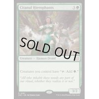 [EX+]シタヌールの秘儀司祭/Citanul Hierophants《英語》【DSC】