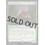 漁る軟泥/Scavenging Ooze《英語》【DSC】