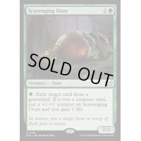 [EX+]漁る軟泥/Scavenging Ooze《英語》【DSC】