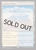 [EX]アダーカー荒原/Adarkar Wastes《英語》【DSC】