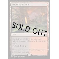[EX+]黒割れの崖/Blackcleave Cliffs《英語》【DSC】