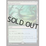 [EX+]溢れかえる果樹園/Flooded Grove《英語》【DSC】