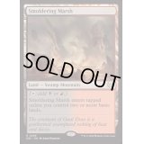 [EX+]燻る湿地/Smoldering Marsh《英語》【DSC】