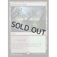 [EX+]緑ばんだ沼/Viridescent Bog《英語》【DSC】
