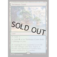 [EX+]ヤヴィマヤの沿岸/Yavimaya Coast《英語》【DSC】