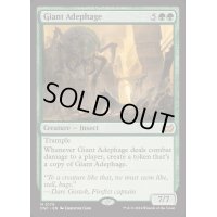 [EX+]巨大オサムシ/Giant Adephage《英語》【DSC】
