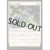 [EX+](FOIL)眠りからの襲撃/Seized from Slumber《日本語》【DSK】