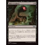(FOIL)萎縮させる責め苦/Withering Torment《日本語》【DSK】