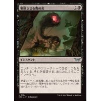 (FOIL)萎縮させる責め苦/Withering Torment《日本語》【DSK】