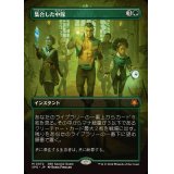 [EX](FOIL)(フルアート)(0072)集合した中隊/Collected Company《日本語》【SPG】