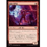 (FOIL)陽動の専門家/Diversion Specialist《日本語》【DSK】