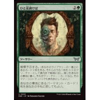 (FOIL)ひと皮剥けば/Under the Skin《日本語》【DSK】