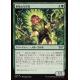 果敢な生存者/Defiant Survivor《日本語》【DSK】