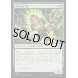 [EX+](FOIL)果敢な生存者/Defiant Survivor《日本語》【DSK】