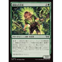 (FOIL)果敢な生存者/Defiant Survivor《日本語》【DSK】
