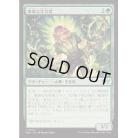[EX+](FOIL)果敢な生存者/Defiant Survivor《日本語》【DSK】