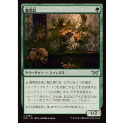 画像1: (FOIL)腹黒茸/Insidious Fungus《日本語》【DSK】