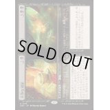[EX](FOIL)不浄な別室+祭儀室/Unholy Annex+Ritual Chamber《日本語》【DSK】