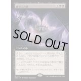 [EX+](フルアート)虚空の力線/Leyline of the Void《日本語》【DSK】