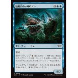 (FOIL)短剣口のメガロドン/Daggermaw Megalodon《日本語》【DSK】