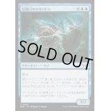 [EX+](FOIL)短剣口のメガロドン/Daggermaw Megalodon《日本語》【DSK】