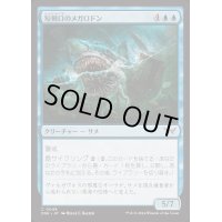 [EX+]短剣口のメガロドン/Daggermaw Megalodon《日本語》【DSK】