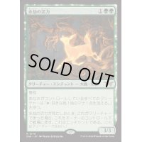 ☆SALE☆永劫の活力/Enduring Vitality《日本語》【DSK】