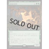 (FOIL)(フルアート)永劫の活力/Enduring Vitality《日本語》【DSK】