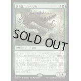 (FOIL)雑食性ハエトリグサ/Omnivorous Flytrap《日本語》【DSK】