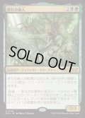 [EX+](FOIL)(0236)群れの巣人/The Swarmweaver《日本語》【DSK】