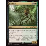 (FOIL)(0236)群れの巣人/The Swarmweaver《日本語》【DSK】