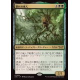 (FOIL)(0301)群れの巣人/The Swarmweaver《日本語》【DSK】