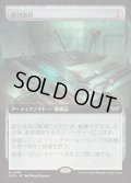(FOIL)(フルアート)解剖道具/Dissection Tools《日本語》【DSK】