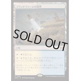 [PLD]フラッドファームの境界/Floodfarm Verge《日本語》【DSK】