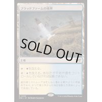 [PLD]フラッドファームの境界/Floodfarm Verge《日本語》【DSK】