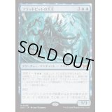 [PLD]フラッドピットの大主/Overlord of the Floodpits《日本語》【DSK】