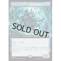 (FOIL)(フルアート)フラッドピットの大主/Overlord of the Floodpits《日本語》【DSK】