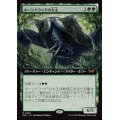 [EX+](FOIL)(フルアート)ホーントウッドの大主/Overlord of the Hauntwoods《日本語》【DSK】