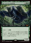 (FOIL)(フルアート)ホーントウッドの大主/Overlord of the Hauntwoods《日本語》【DSK】
