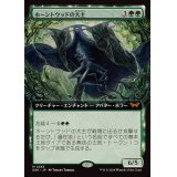 (FOIL)(フルアート)ホーントウッドの大主/Overlord of the Hauntwoods《日本語》【DSK】
