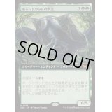 [EX](FOIL)(フルアート)ホーントウッドの大主/Overlord of the Hauntwoods《日本語》【DSK】
