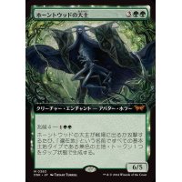 [EX+](FOIL)(フルアート)ホーントウッドの大主/Overlord of the Hauntwoods《日本語》【DSK】