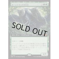 (FOIL)(フルアート)ホーントウッドの大主/Overlord of the Hauntwoods《日本語》【DSK】