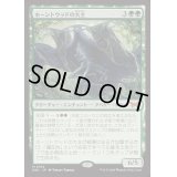 [EX+]ホーントウッドの大主/Overlord of the Hauntwoods《日本語》【DSK】