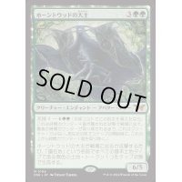 (FOIL)ホーントウッドの大主/Overlord of the Hauntwoods《日本語》【DSK】