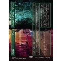 (フルアート)収納室+忘れられた地下室/Walk-In Closet+Forgotten Cellar《日本語》【DSK】