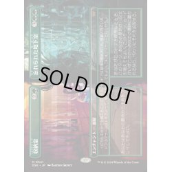 画像1: (フルアート)収納室+忘れられた地下室/Walk-In Closet+Forgotten Cellar《日本語》【DSK】